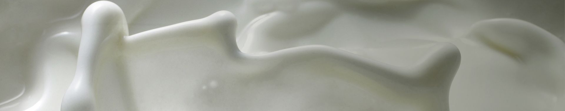 Bulk food primary banner.jpg