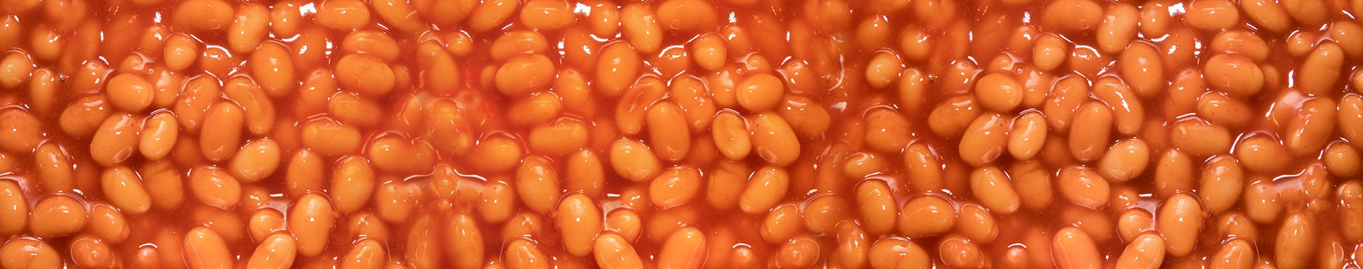 Consumer packed goods primary banner of baked beans.jpg